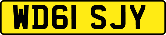 WD61SJY