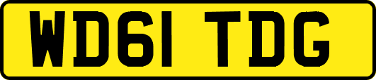 WD61TDG