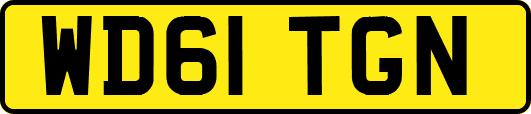 WD61TGN