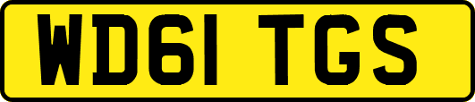 WD61TGS