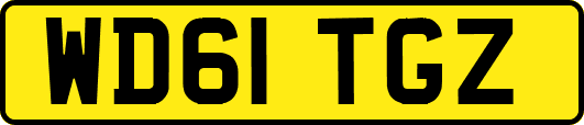 WD61TGZ