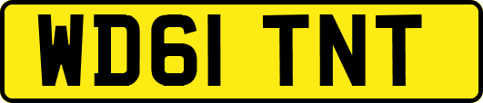 WD61TNT