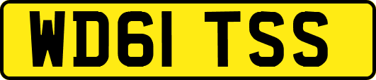 WD61TSS