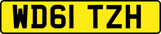 WD61TZH