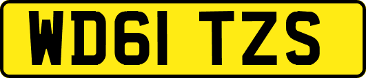 WD61TZS
