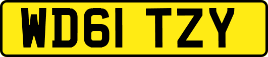 WD61TZY