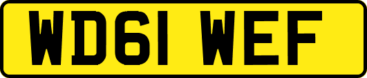 WD61WEF