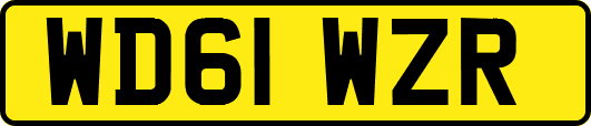 WD61WZR