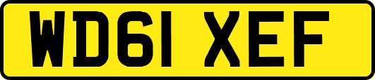 WD61XEF