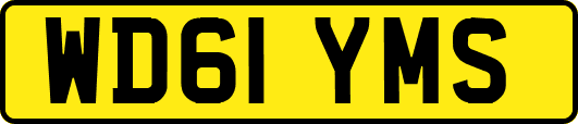 WD61YMS