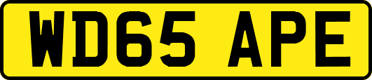 WD65APE