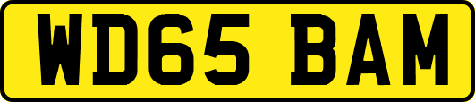 WD65BAM