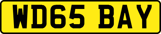 WD65BAY