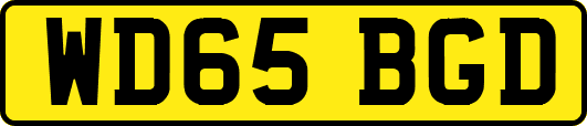 WD65BGD