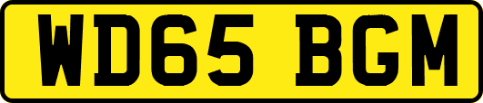 WD65BGM