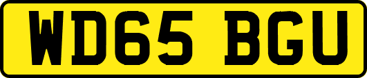 WD65BGU