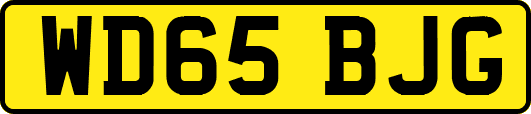 WD65BJG