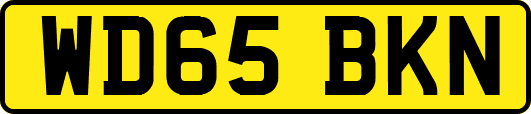 WD65BKN