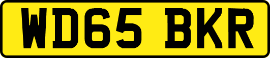 WD65BKR