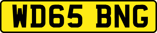 WD65BNG