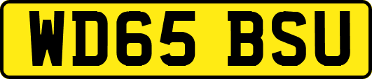 WD65BSU