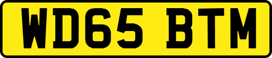 WD65BTM