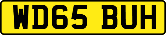 WD65BUH
