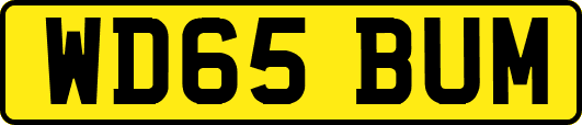 WD65BUM