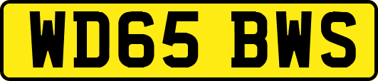 WD65BWS