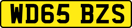 WD65BZS