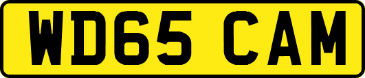 WD65CAM