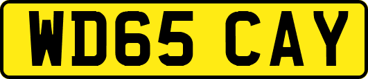 WD65CAY