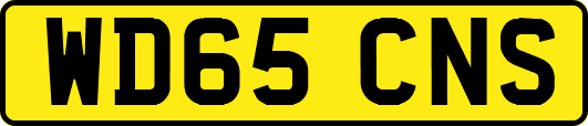 WD65CNS