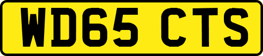 WD65CTS
