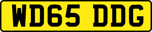 WD65DDG
