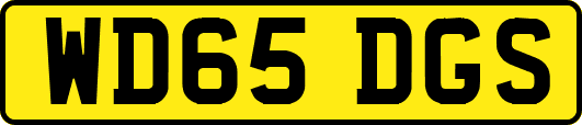 WD65DGS