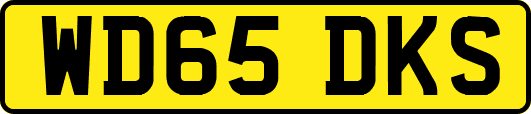WD65DKS