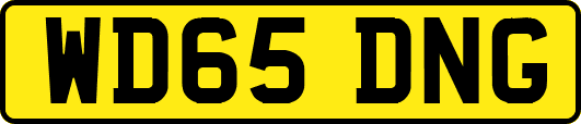 WD65DNG