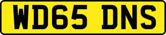 WD65DNS