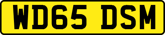 WD65DSM