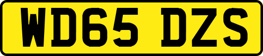 WD65DZS