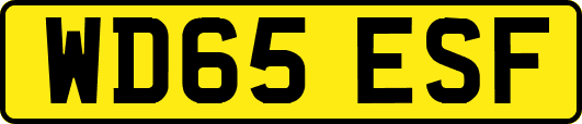 WD65ESF