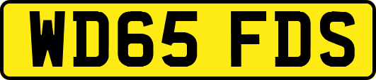 WD65FDS
