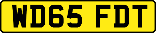 WD65FDT