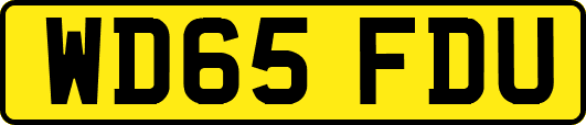 WD65FDU