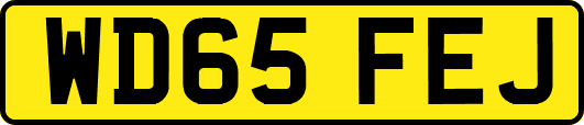 WD65FEJ