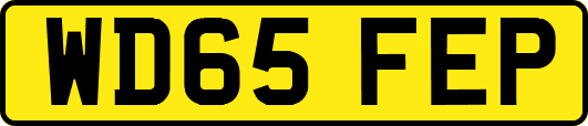 WD65FEP