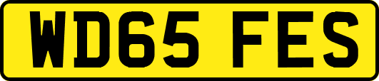 WD65FES