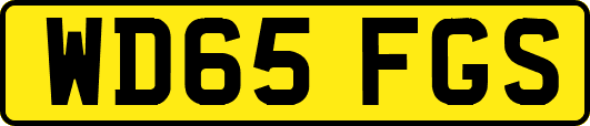 WD65FGS