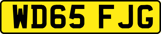 WD65FJG